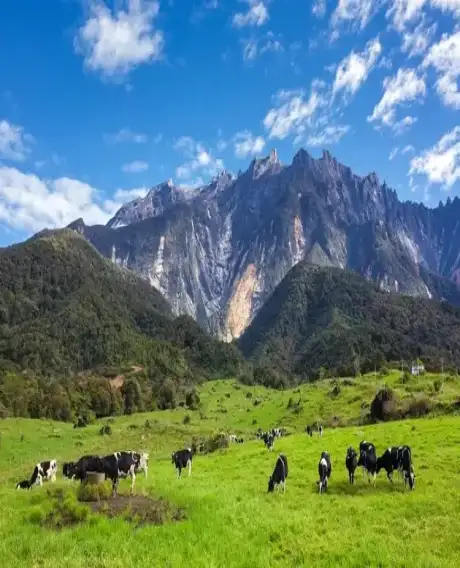 Sabah