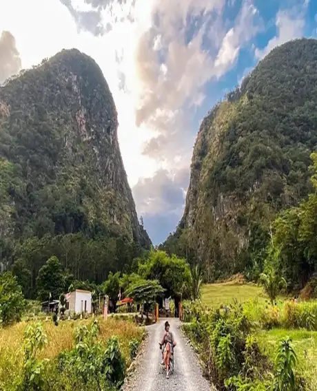 Perlis