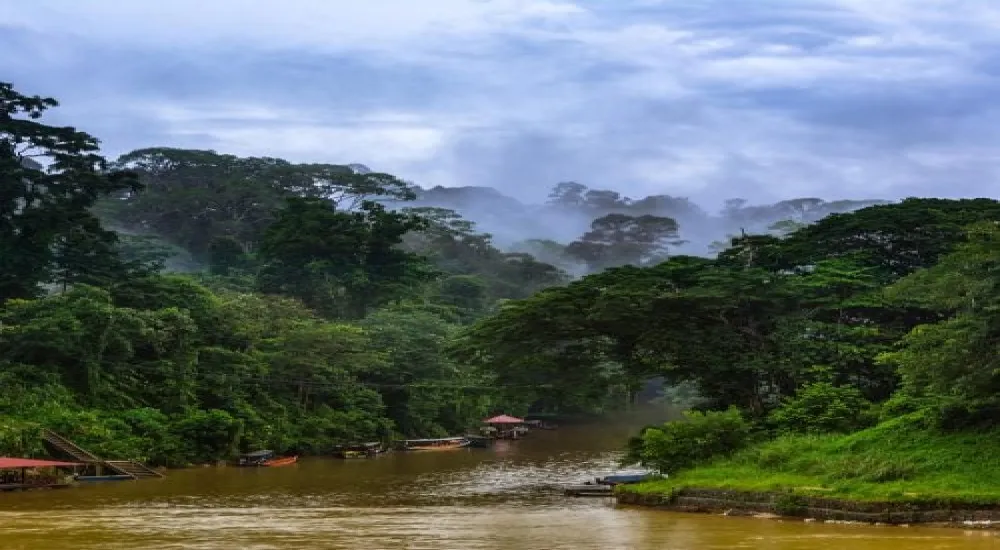 Taman Negara